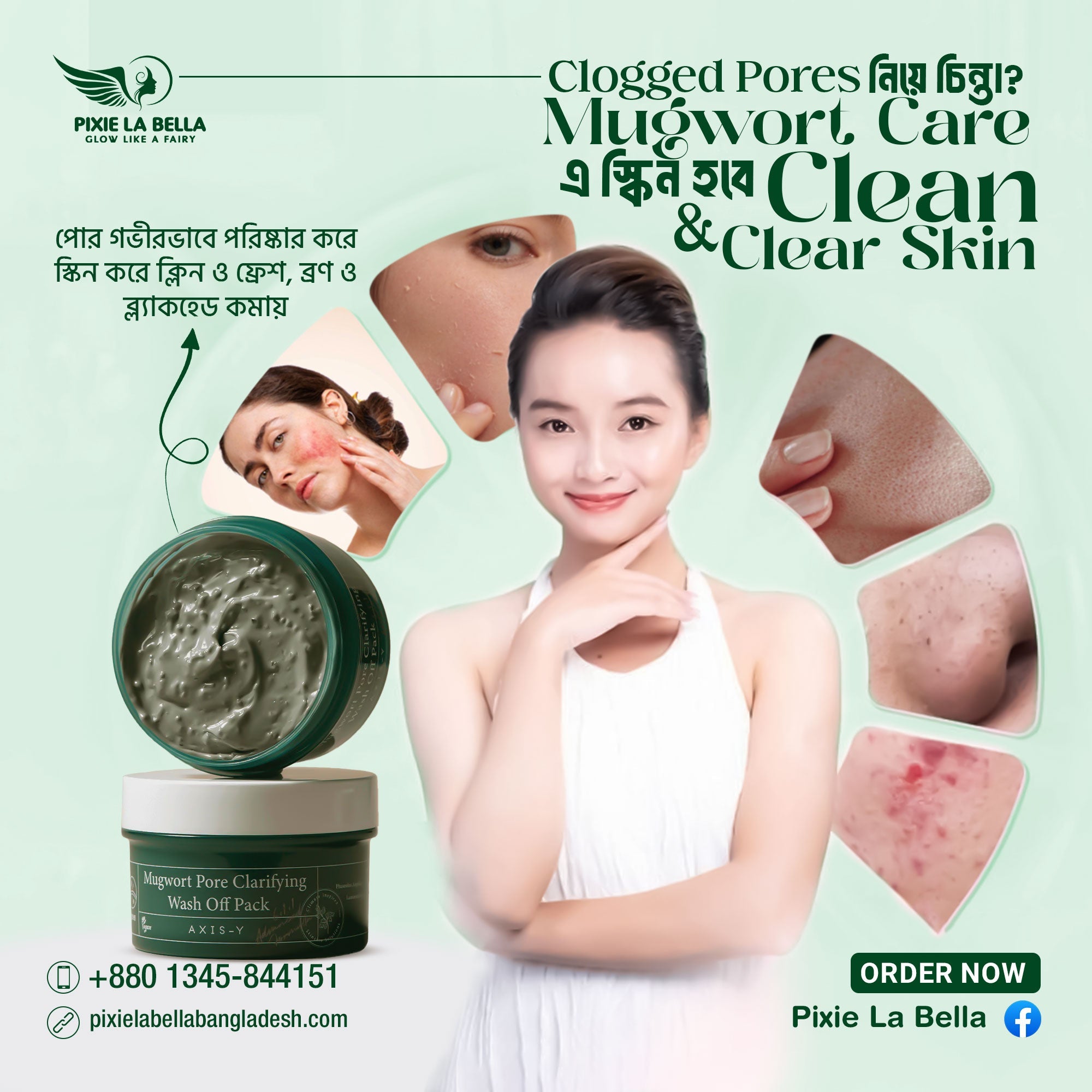 AXIS-Y Mugwort Pore Clarifying Wash-Off Pack 100ml Pixie La Bella