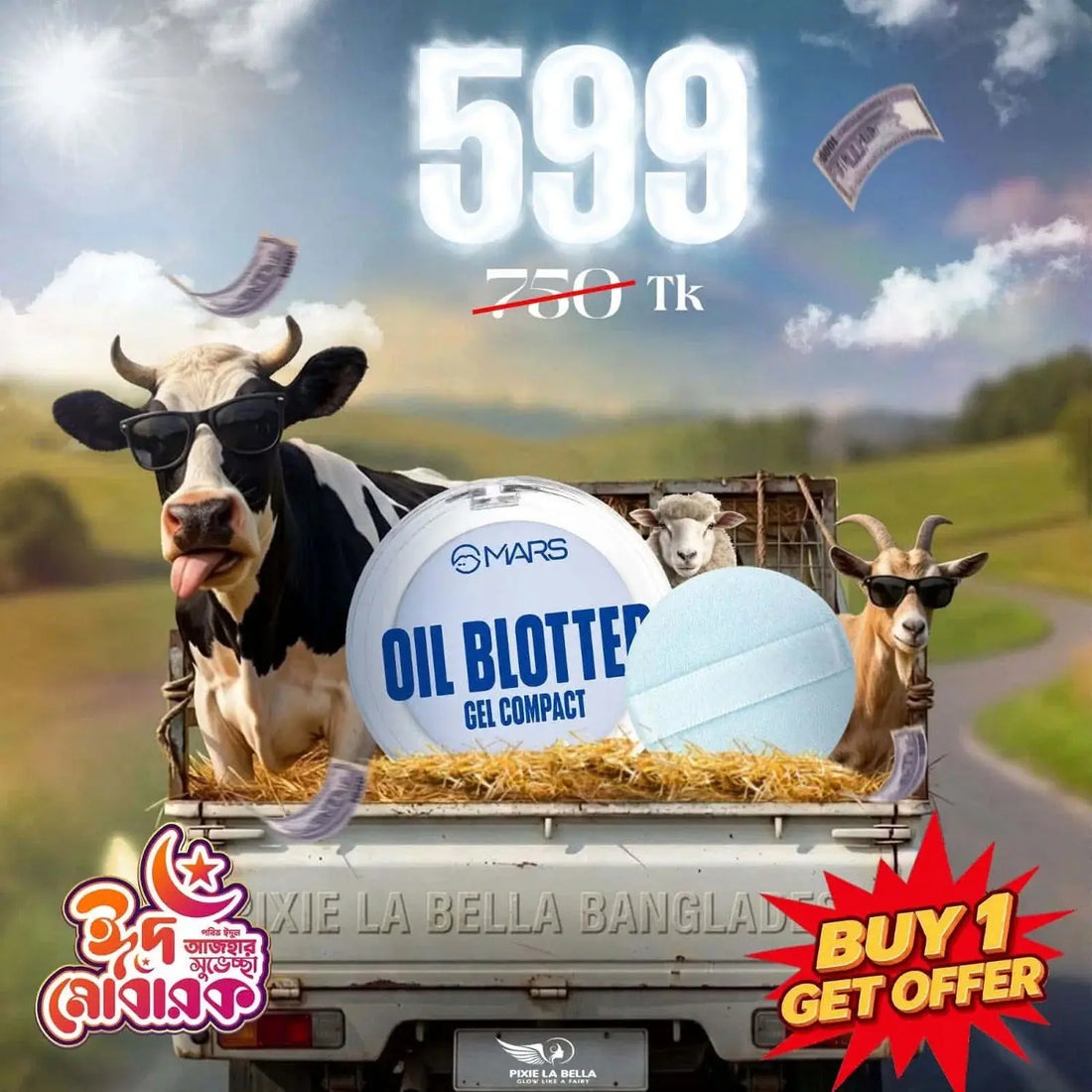 HAMBA Offer - MARS Oil Blotter Gel Compact