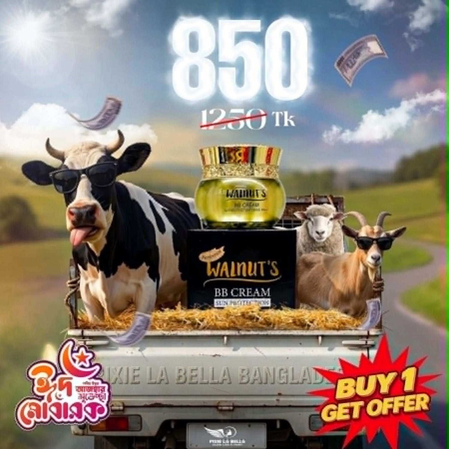HAMBA Offer - Walnut&
