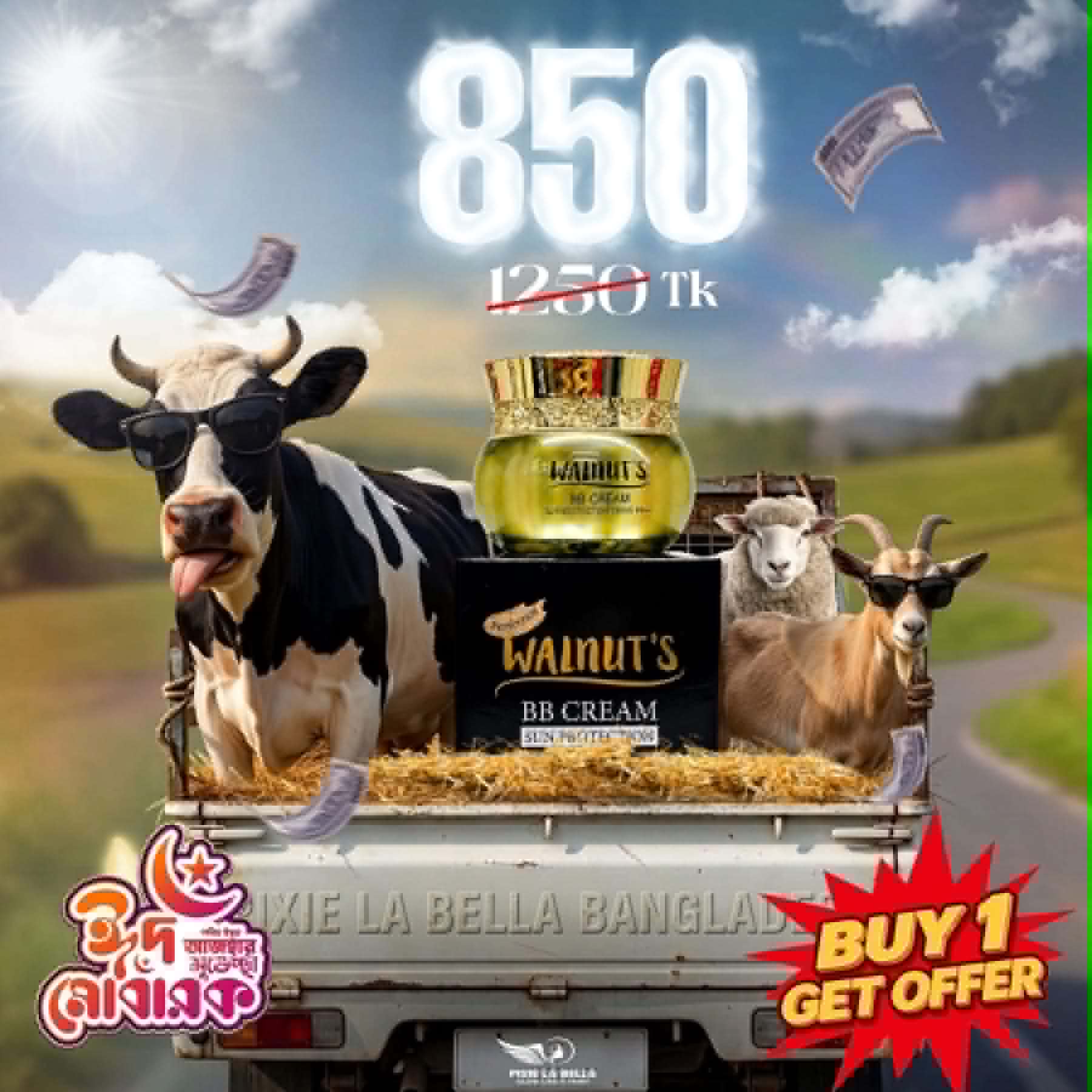 HAMBA Offer - Walnut&